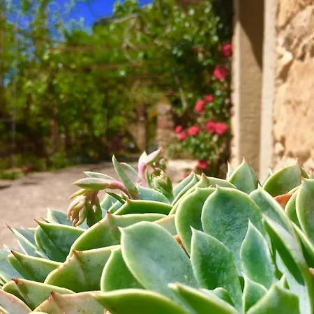 Casa Canneto Bed & Breakfast Capizzi